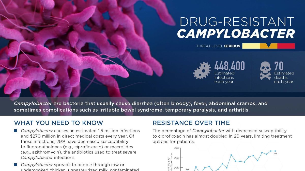 Campylobacter
