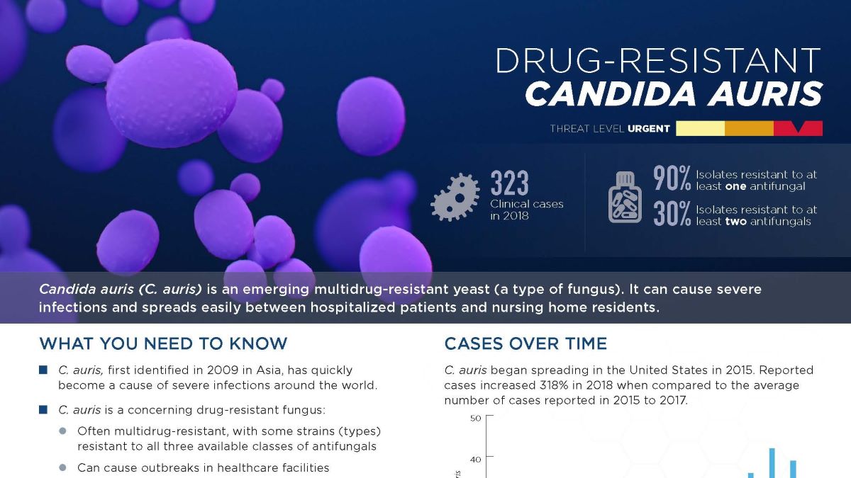 Drug-resistant Candida auris