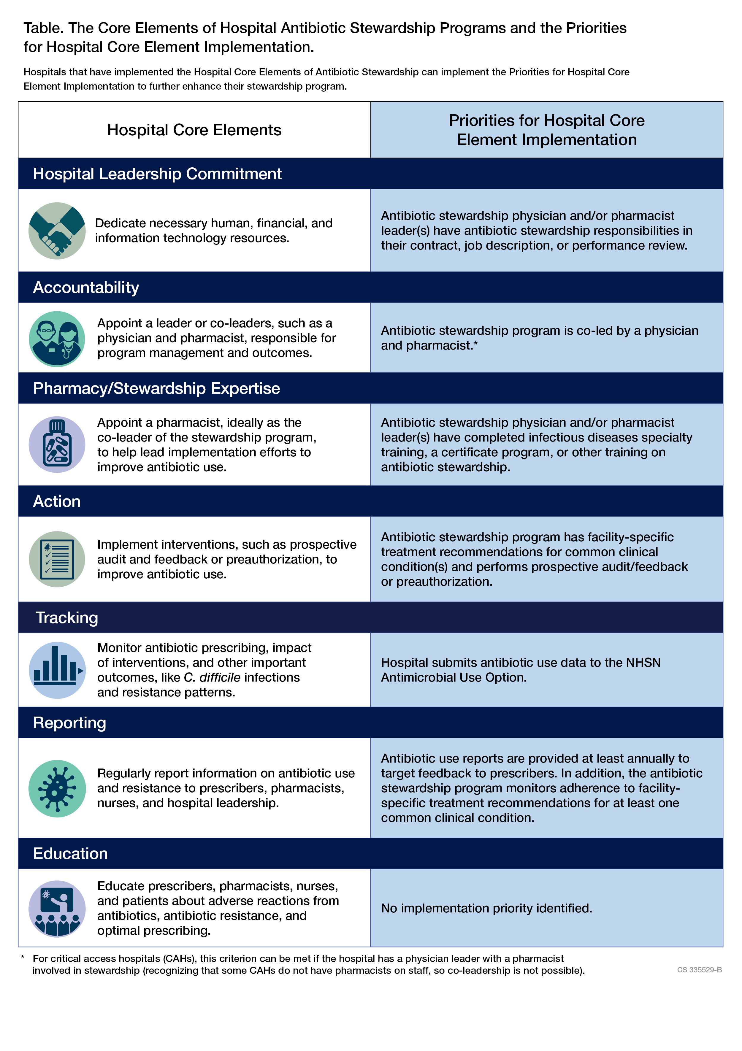 Table with descriptions/icons showing Hospital Core Elements and Priorities for Hospital Core Element Implementation.