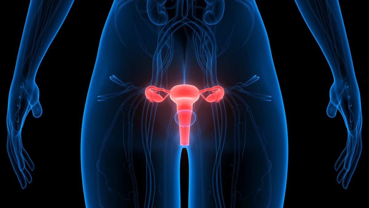 Medical illustration of the female reproductive system