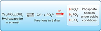 [EN] - ce410 - Content - Fluoride’s Mechanism of Action - Figure 1