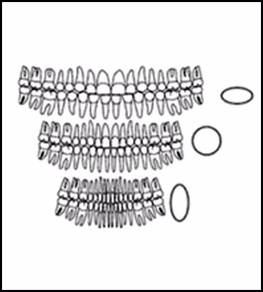 ce589 Image Projection - Figure 2
