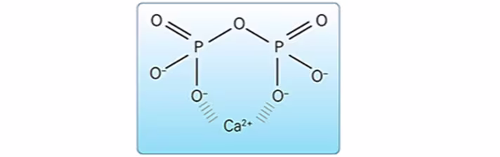 ce670 - Images - Fig. 16